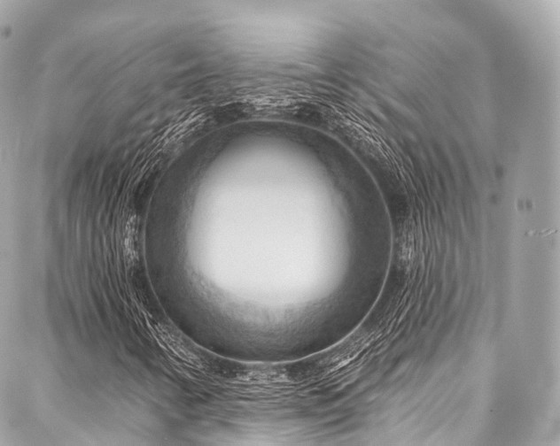 X0000088061346200705111323
