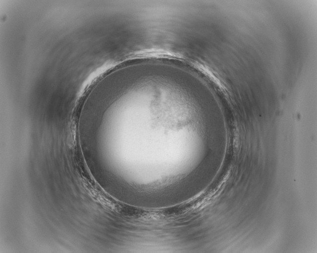 X0000088061358200705111322