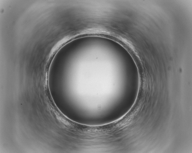 X0000088061366200705111322