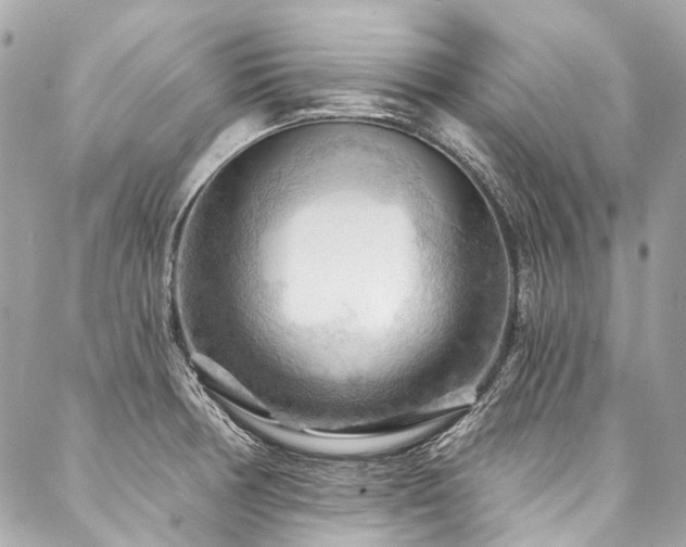 X0000088061378200705111322