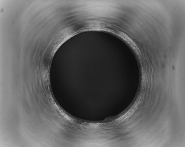 X0000088061385200705111322