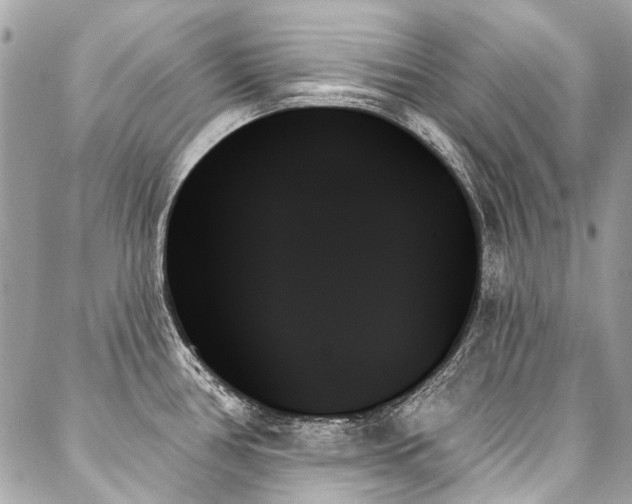X0000088061386200705111322