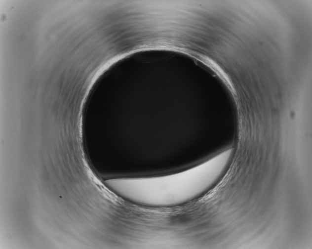 X0000088061388200705111322