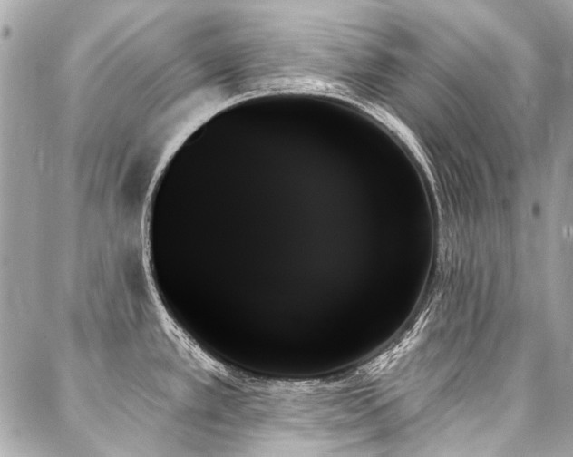 X0000088061389200705111322
