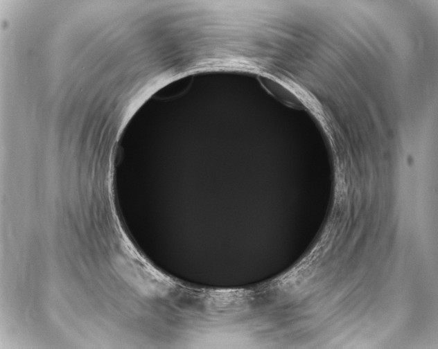 X0000088061390200705111322