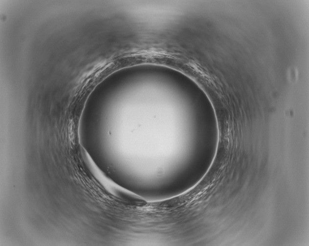 X0000088061398200705111321