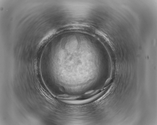 X0000088061403200705111321