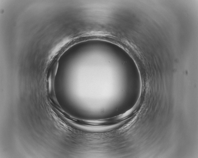 X0000088061406200705111321