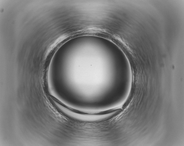 X0000088061410200705111321
