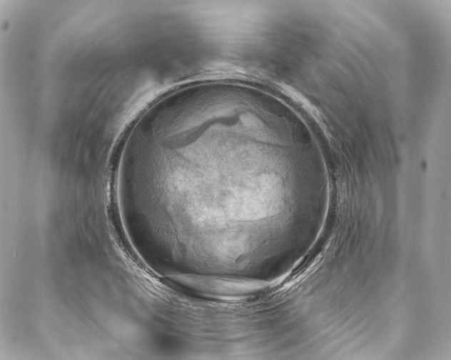 X0000088061415200705111321