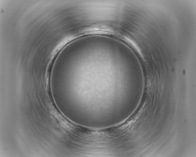 X0000088061419200705111321