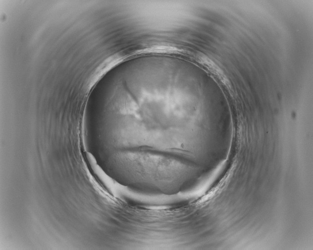 X0000088061425200705111322