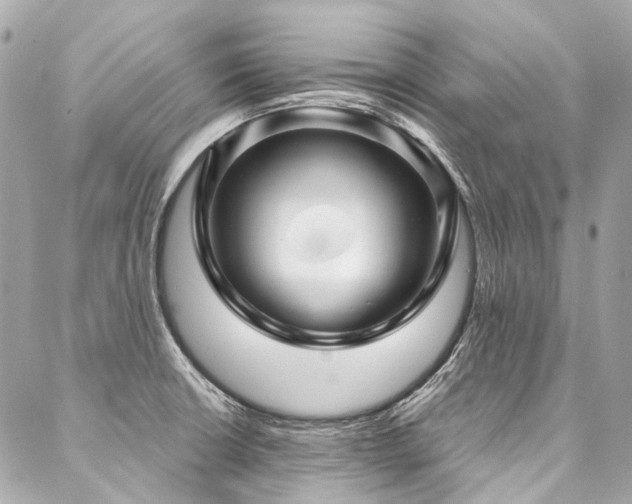 X0000088061426200705111322