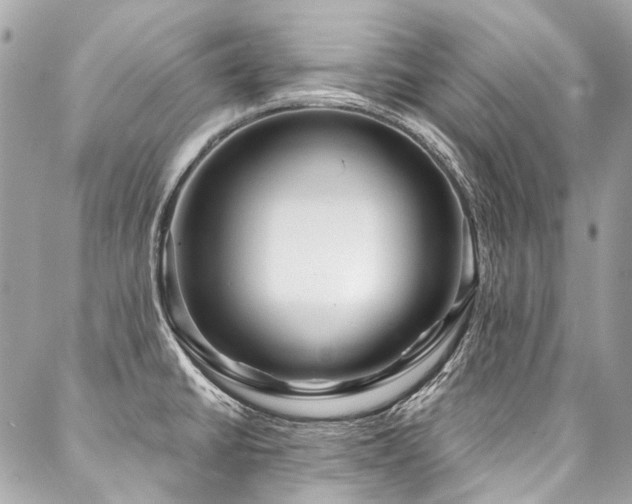 X0000088061430200705111322