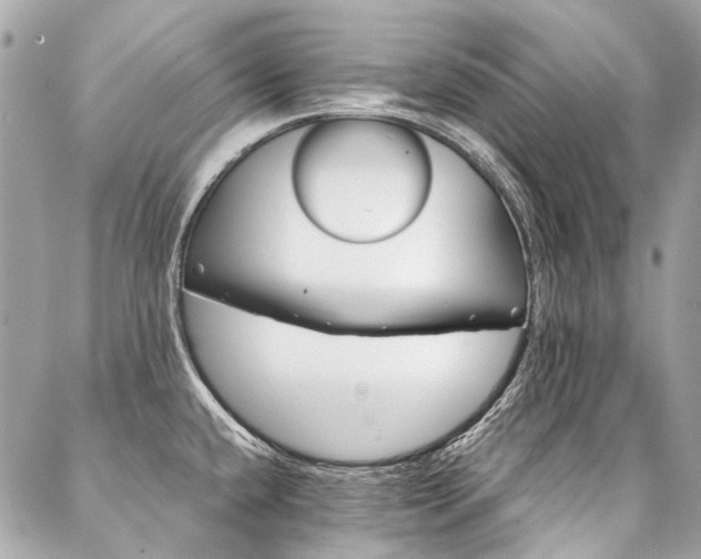 X0000088061432200705111322