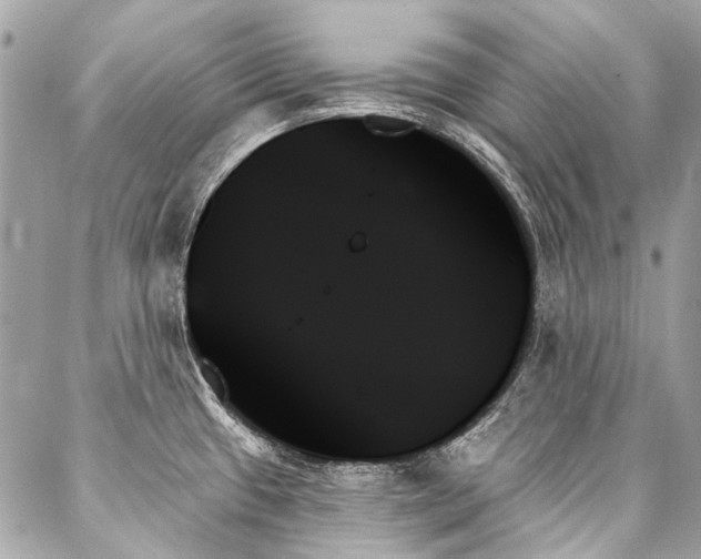 X0000088061433200705111322