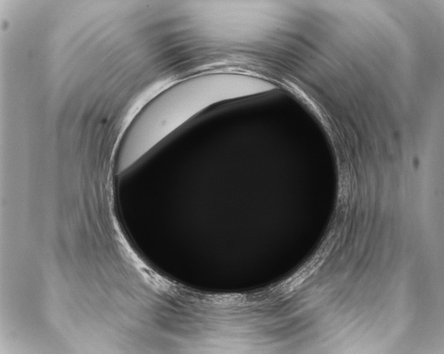 X0000088061434200705111322