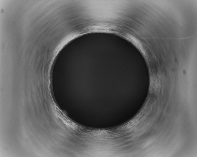 X0000088061435200705111322