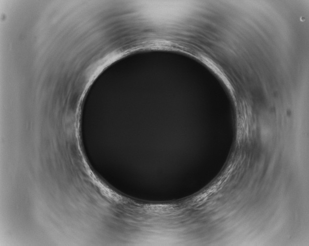 X0000088061437200705111322