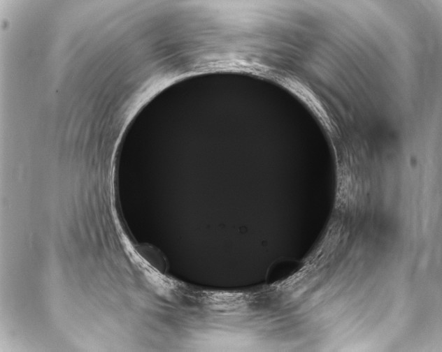 X0000088061439200705111322