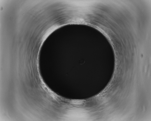 X0000088061440200705111322
