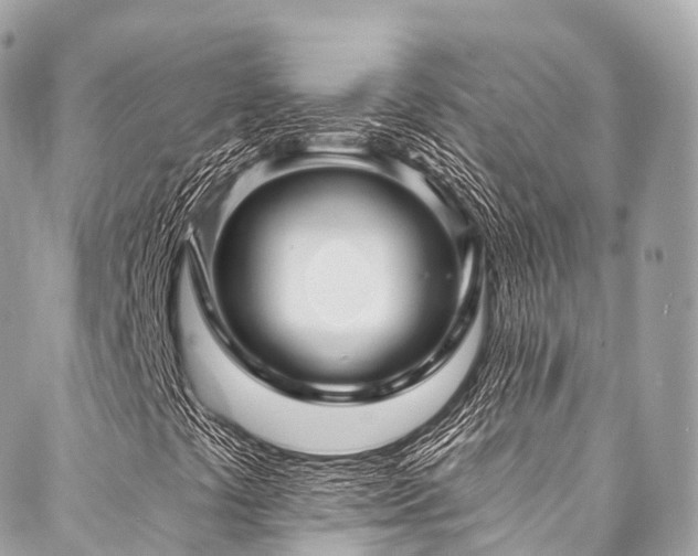 X0000088061441200705111321