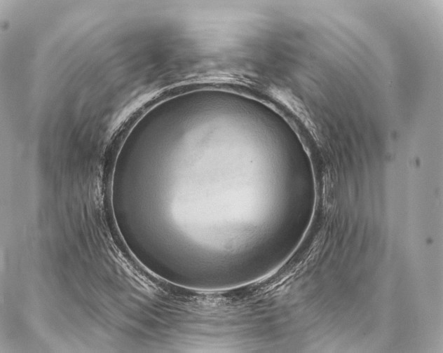 X0000088061452200705111321