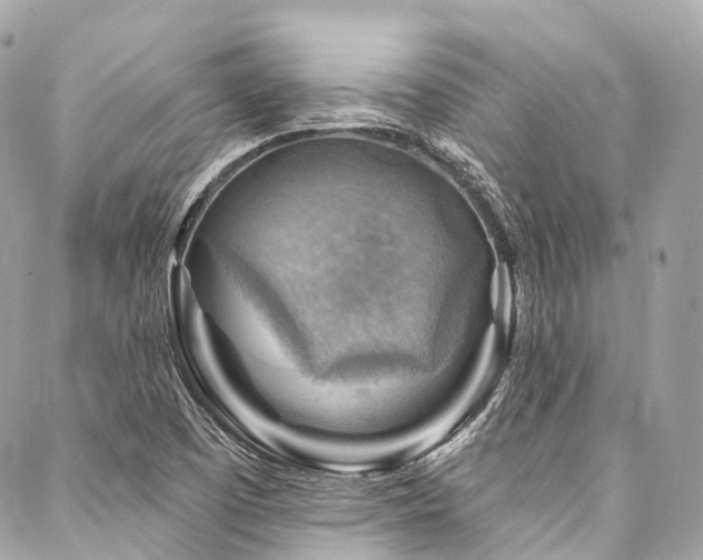 X0000088061457200705111321