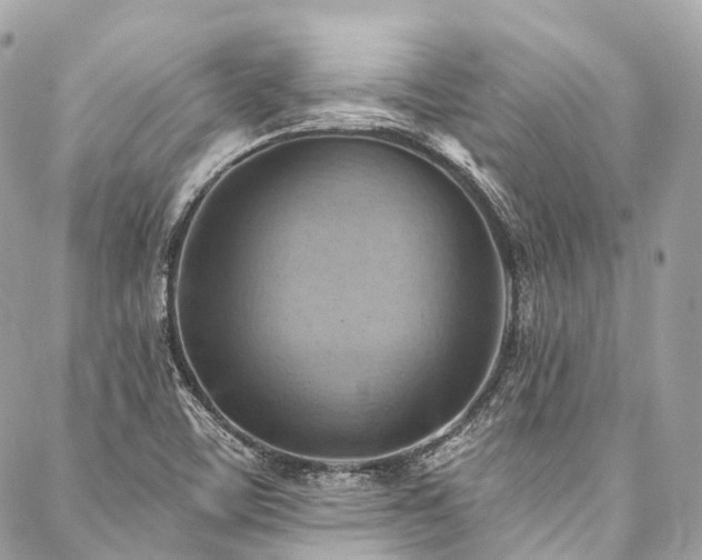 X0000088061459200705111321