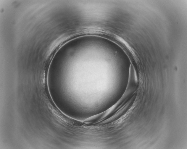 X0000088061461200705111321