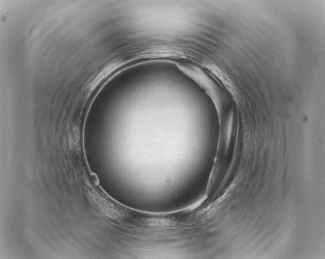 X0000088061465200705111321
