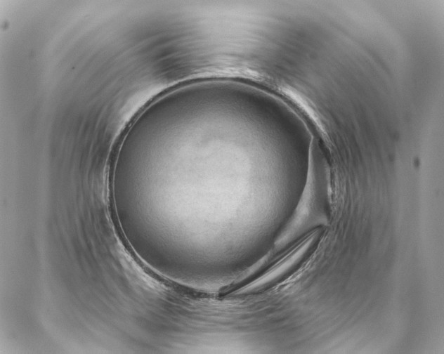 X0000088061468200705111321