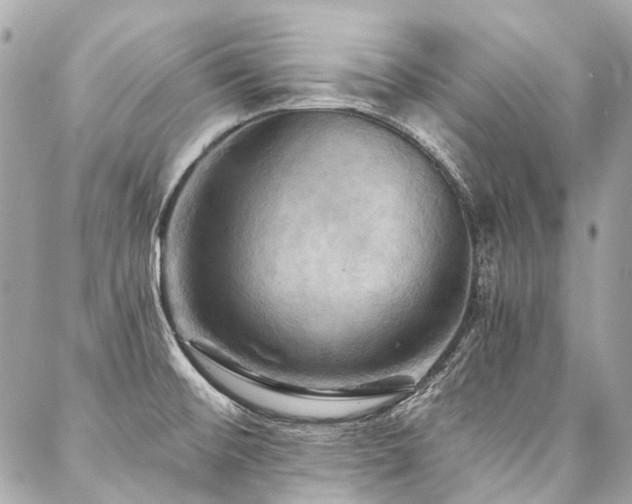 X0000088061476200705111320