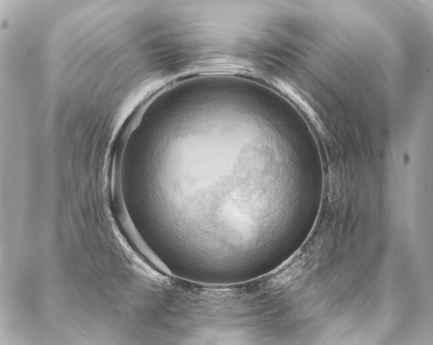 X0000088061477200705111320