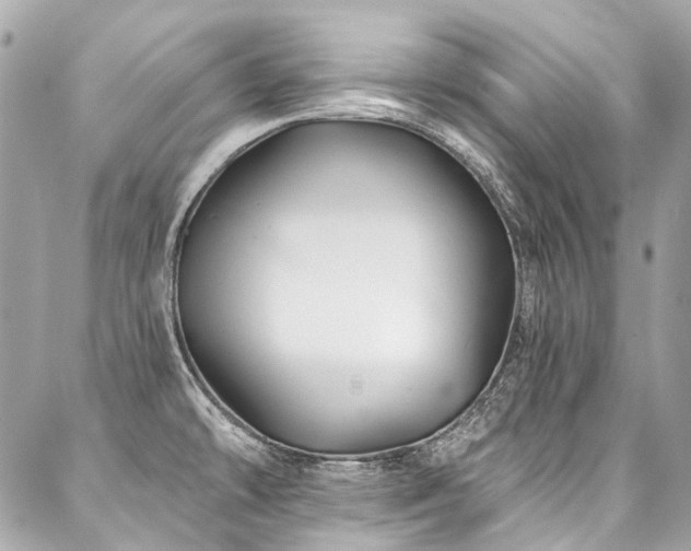 X0000088061478200705111320