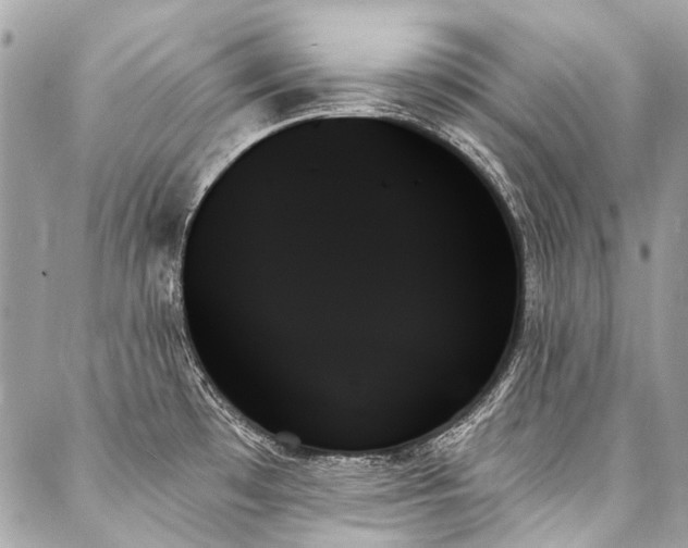 X0000088061481200705111320