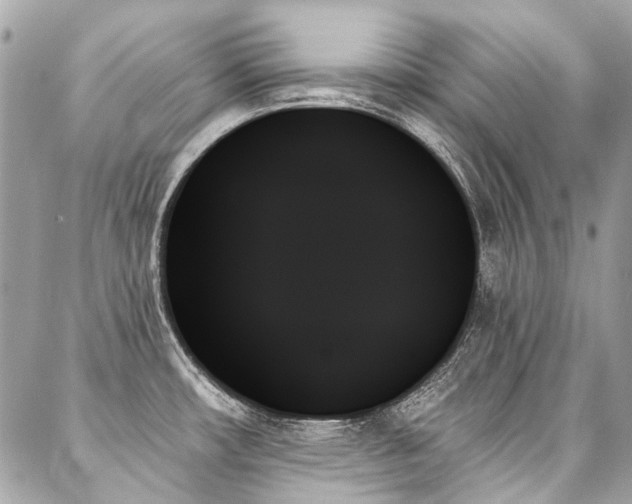X0000088061482200705111320