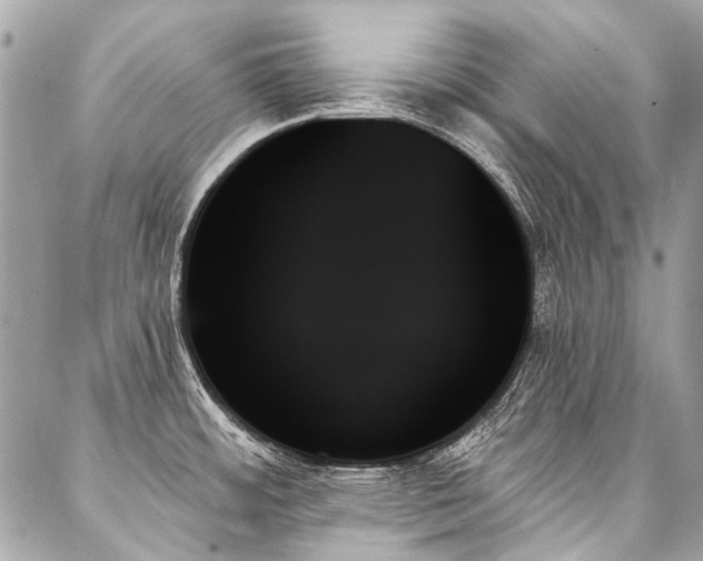 X0000088061484200705111320