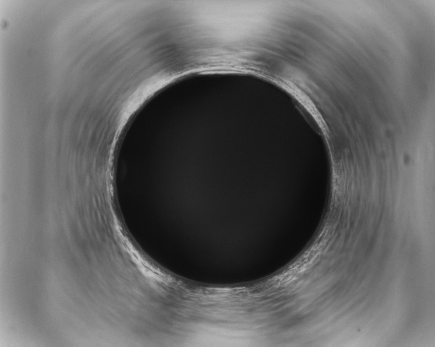 X0000088061485200705111320
