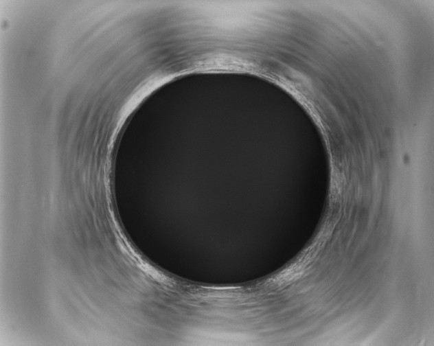 X0000088061486200705111320