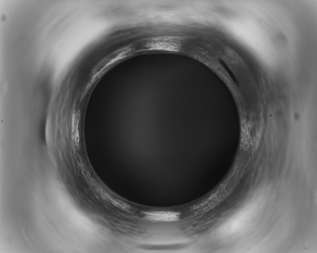 X0000088061487200705111320