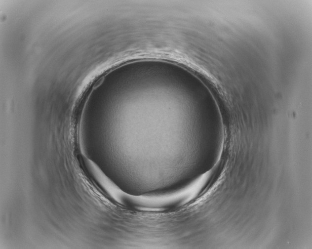 X0000088061506200705111320