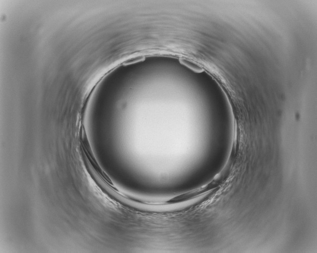 X0000088061524200705111320
