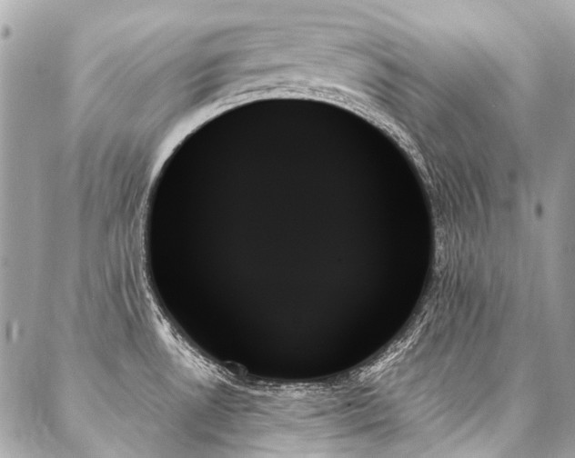 X0000088061530200705111320