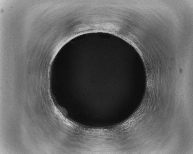 X0000088061532200705111320