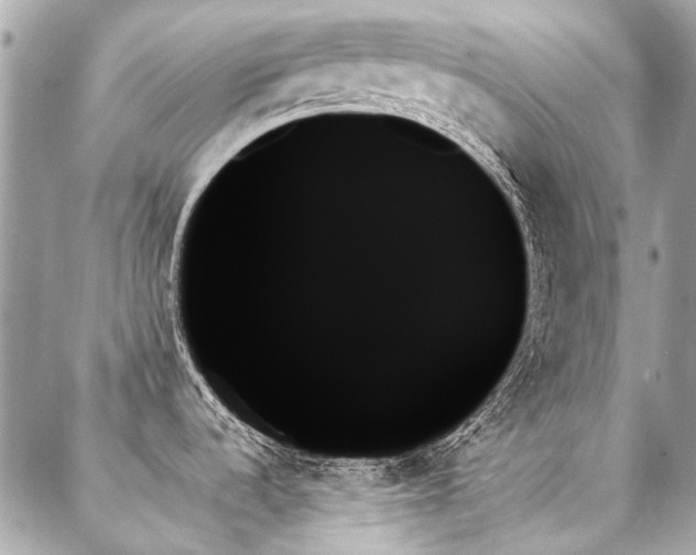 X0000088061536200705111320