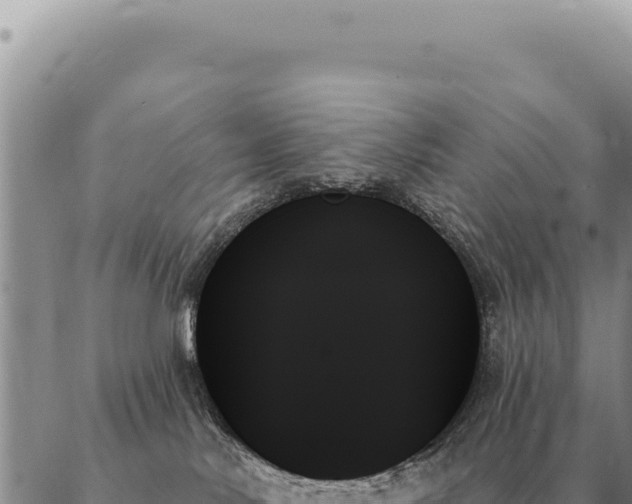 X0000088060042200705182152
