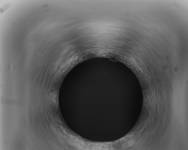 X0000088060044200705182151