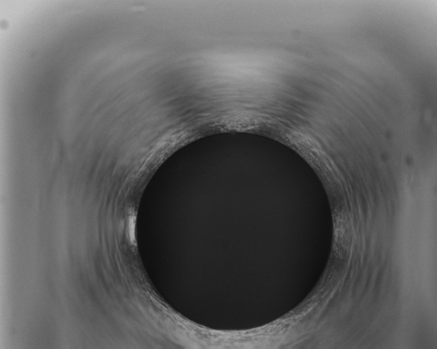 X0000088060046200705182151