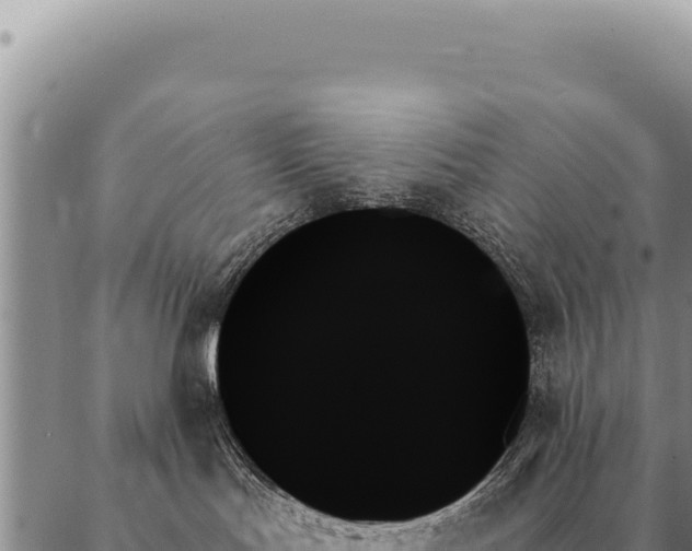 X0000088060047200705182151